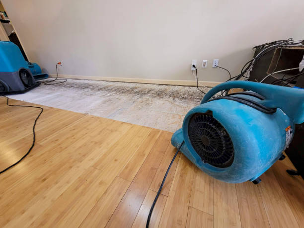 Professional Structural Drying technician working in Porters Falls, WV